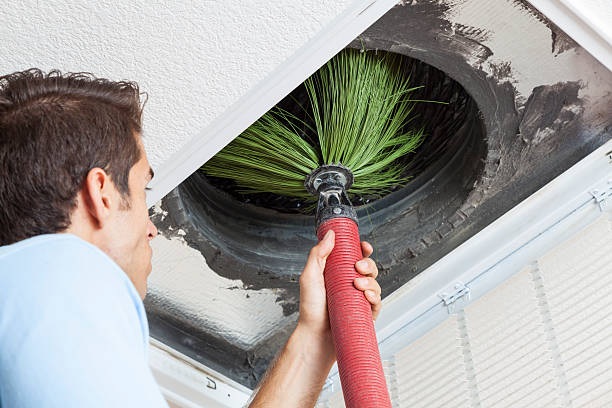 Best Air Duct Mold Removal  in Washington, IL